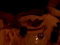 CLIP0057.AVI