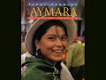 WARA - fiesta aymara
