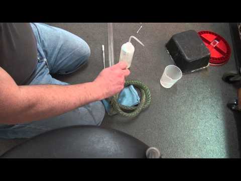 YouTube reptile video