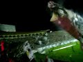 Ira Jovem Vasco - IJV Vascão Ira Jovem Vasco - IJV Vascão