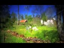 musiken fr�n tv4 programmet sommarp�rlan - nya inspelningar med s�ngare fr�n bland annat: lasse stefanz, vikingarna, sten & stanley,  thorleifs, matz bladhs samt kikki danielsson och carina jaarnek.