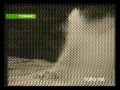 Видеоновость Тонис "Жизнь" 01_04 [1]