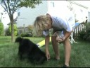 Retraining Running Contacts - Johann and Gracie Retraining Running Contacts - Johann and Gracie