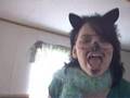 The musical cats