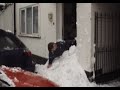 8th February 2007 - Snow in Oxford