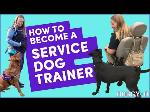video-linktoworks-How I Became A Service Dog Trainer: My Process and Tips