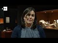 Click here to watch this video Antropología. La Cueva de Nerja expone el cráneo de su 