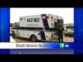 Shark Attacks Surfer Along Central Coast