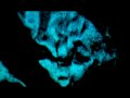 IMAGE OF ALIEN CAPTURED BY HD CAMERA