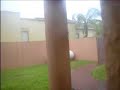 hurricane dolly hits mission