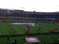 presentacion de los tigres