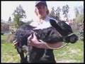 Keytar/ Keytarist /Jeff/Jeffrey Abbott's Redneck Love