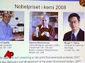 Nobel Chemistry Prize Goes for Jellyfish Protein