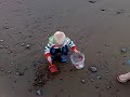 alfie sand castle clarach bay