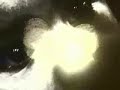 Frakkur - Untitled (Jonsi from Sigur Ros)