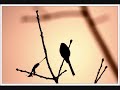 une charogne

rappelez-vous l'objet que nous v�mes, mon �me,
ce beau matin d'�t� si doux:
au d�tour d'un sentier une charogne inf�me
sur un lit sem� de cailloux,

le ventre en l'air, comme une femme lubrique,
br�lante et suant les poisons,
ouvrait d'une fa�on nonchalante et cynique
son ventre plein d'exhalaisons.

le soleil rayonnait sur cette pourriture,
comme afin de la cuire � point,
et de rendre au centuple � la grande nature
tout ce qu'ensemble elle avait joint;

et le ciel regardait la carcasse superbe
comme une fleur s'�panouir.
la puanteur �tait si forte, que sur l'herbe
vous cr�tes vous �vanouir.

les mouches bourdonnaient sur ce ventre putride,
d'o� sortaient de noirs bataillons
de larves, qui coulaient comme un �pais liquide
le long de ces vivants haillons.

tout cela descendait, montait comme une vague
ou s'�lan�ait en p�tillant
on e�t dit que le corps, enfl� d'un souffle vague,
vivait en se multipliant.

et ce monde rendait une �trange musique,
comme l'eau courante et le vent,
ou le grain qu'un vanneur d'un mouvement rythmique
agite et tourne dans son van.

les formes s'effa�aient et n'�taient plus qu'un r�ve,
une �bauche lente � venir
sur la toile oubli�e, et que l'artiste ach�ve
seulement par le souvenir.

derri�re les rochers une chienne inqui�te
nous regardait d'un oeil f�ch�,
epiant le moment de reprendre au squelette
le morceau qu'elle avait l�ch�.

- et pourtant vous serez semblable � cette ordure,
a cette horrible infection,
etoile de mes yeux, soleil de ma nature,
vous, mon ange et ma passion!

oui! telle vous serez, � la reine des gr�ces,
apres les derniers sacrements,
quand vous irez, sous l'herbe et les floraisons grasses,
moisir parmi les ossements.

alors, � ma beaut�! dites � la vermine
qui vous mangera de baisers,
que j'ai gard� la forme et l'essence divine
de mes amours d�compos�s!

les fleurs du mal, charles baudelaire