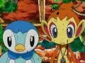 Blazeshipping-Chimchar Amazing Blazeshipping-Chimchar Amazing