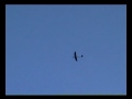 Siren Hotliner from Great Planes Siren Hotliner from Great Planes
