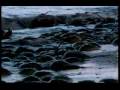 SEO-SEM-video-blogge