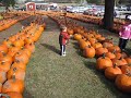 2009.10.17 - Chase Farms