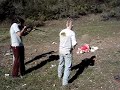 Bye Bye Bear