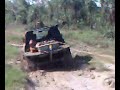 darwin4x4.net