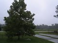 Fay: Wind and rain