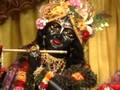 Govindam darsan, Mayapur