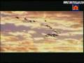 Mishary Rashid Alafasy - Ma Allah (With Allah)
