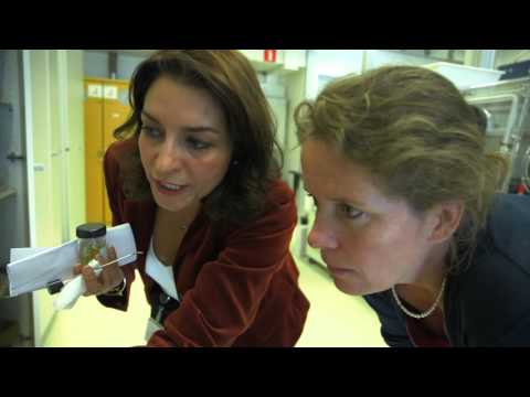 video-linktoworks-Safer cleaning methods for oil painting - YouTube