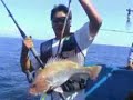 Deep Sea Fishing In Malaysia