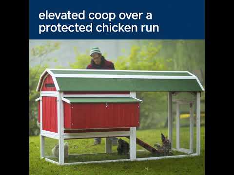 #467 Deluxe Double Nest Chicken Coop