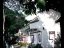 ?????????? Yuen Po Street Bird Garden ?????????? Yuen Po Street Bird Garden