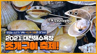보령시 홍보영상 | 2021 대천해수욕장 조개구이 축제