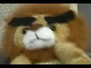 Don\