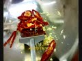 Spicy Spareribs