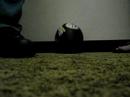 Ball In Love