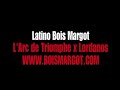 LATINO , stallion by L\ LATINO , stallion by L\