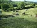 salon du 4x4 dans le jura