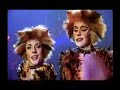 macavity: the mystery cat