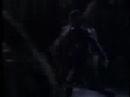 voyager   clubbed to death