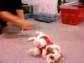 MOV00837.MP4