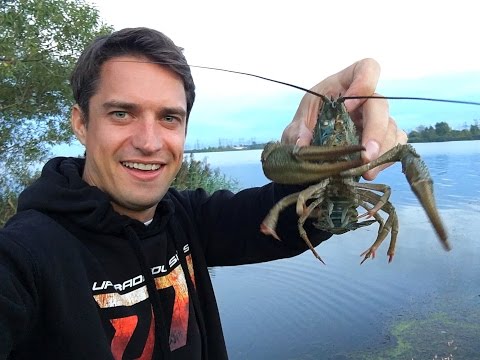 где ловить раков в крыму 2016 где ловить раков в крыму 2016
