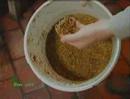 Organic Home Brew Beer