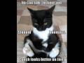 Caturday XV
