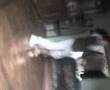 erin molly hahaha watch it all pweeze!!