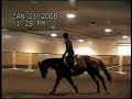 FERNIE: hunter/jumper prospect for sale