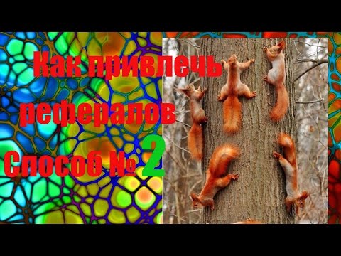 YouTube Трейлер