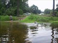 Blue and Valen at the River