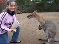 Lone   Pine  Koala Sanctuary